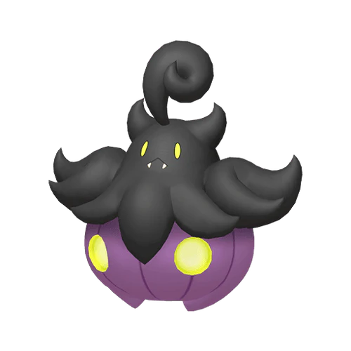 #0710 Pumpkaboo Average Size